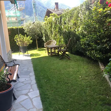 Ulivo Vda Quart 0035 Aosta