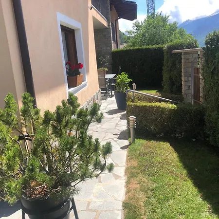 Ulivo Vda Quart 0035